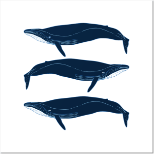 Cetaceans Posters and Art